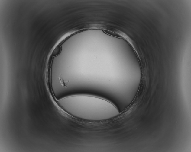 X0000086911147200704161003