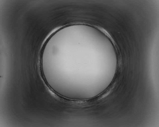 X0000086911149200704161003