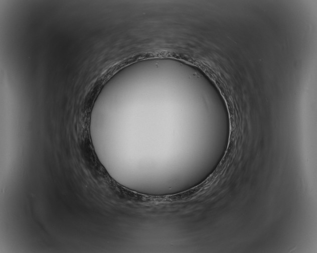 X0000086911157200704161003