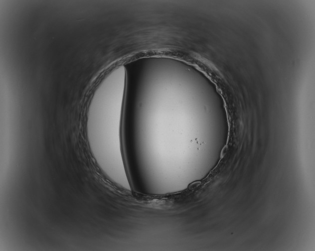 X0000086911160200704161003