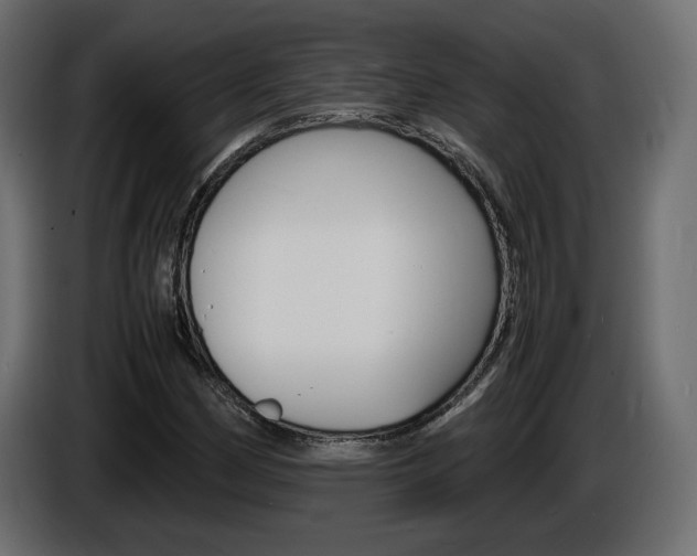 X0000086911162200704161003