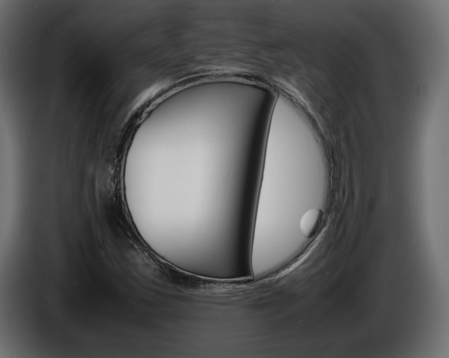 X0000086911163200704161003