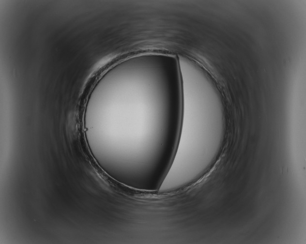X0000086911164200704161002