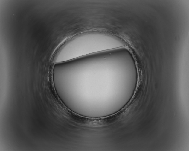 X0000086911165200704161002
