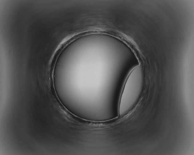 X0000086911168200704161002