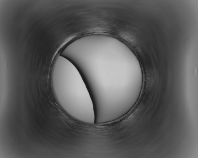 X0000086911170200704161002