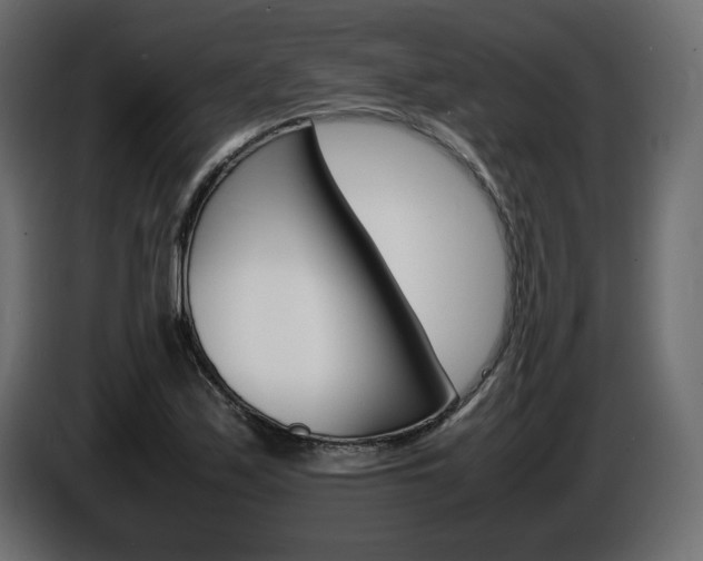 X0000086911171200704161002