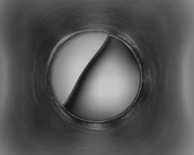 X0000086911172200704161002