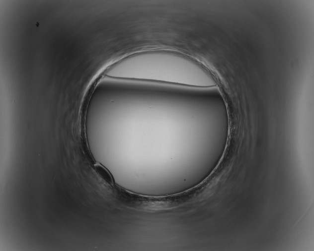 X0000086911173200704161002