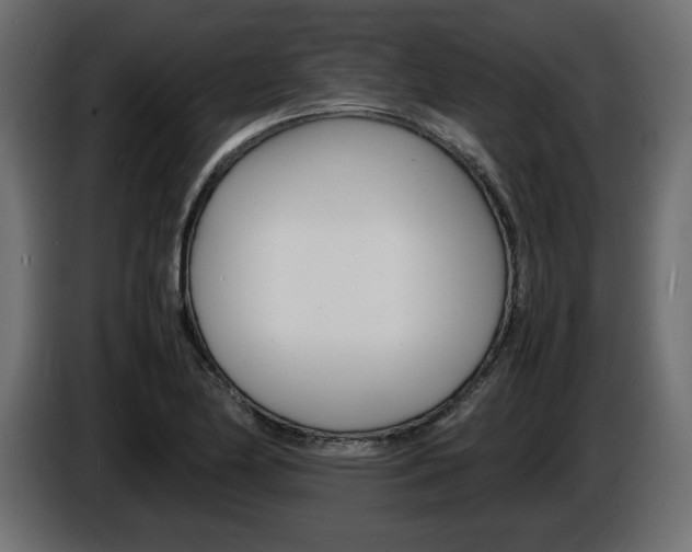 X0000086911174200704161002