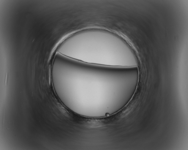 X0000086911175200704161002