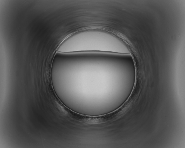 X0000086911177200704161002