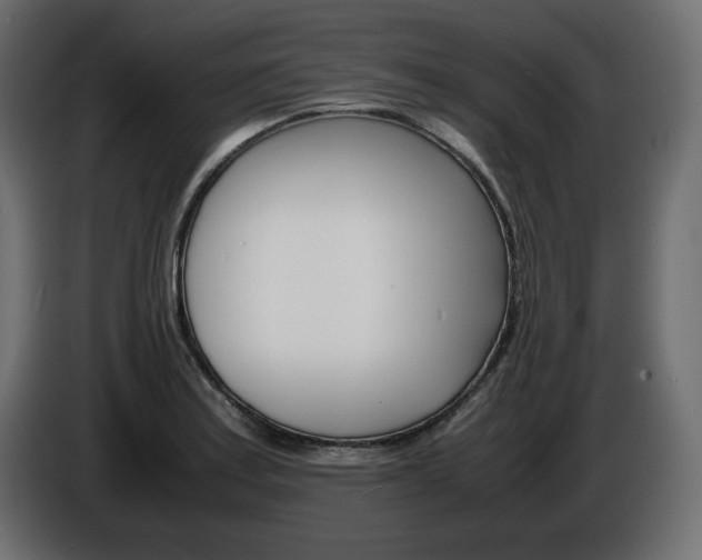 X0000086911179200704161002