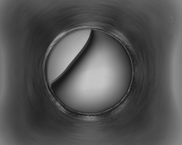 X0000086911180200704161002