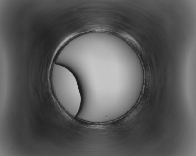 X0000086911182200704161002