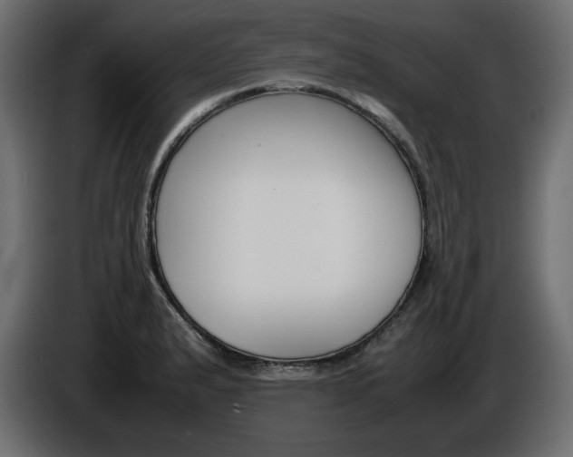 X0000086911183200704161002