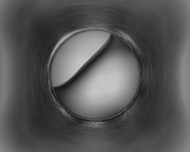 X0000086911184200704161002