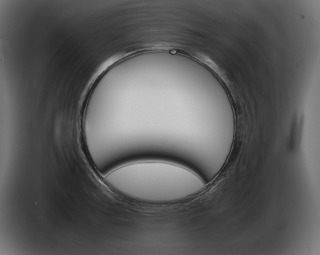 X0000086911187200704161002