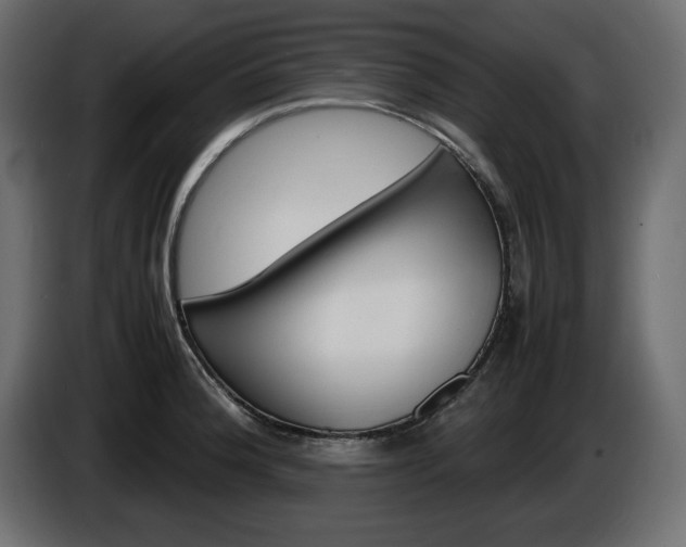 X0000086911188200704161002