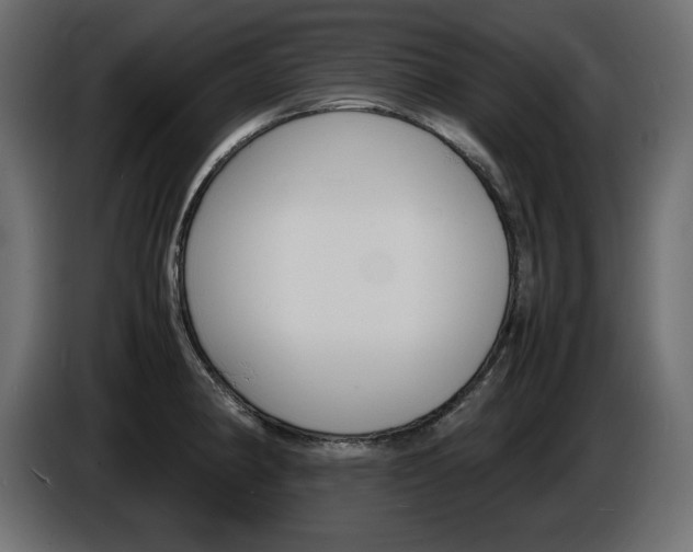 X0000086911190200704161002