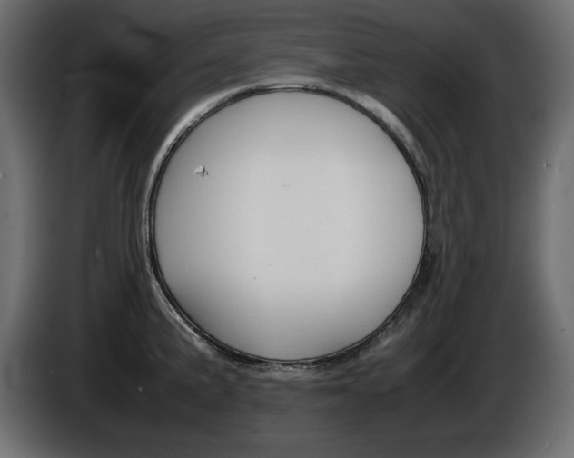 X0000086911191200704161002
