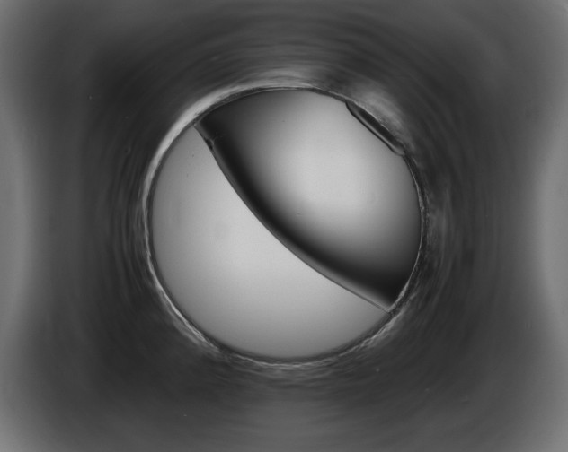 X0000086911192200704161002