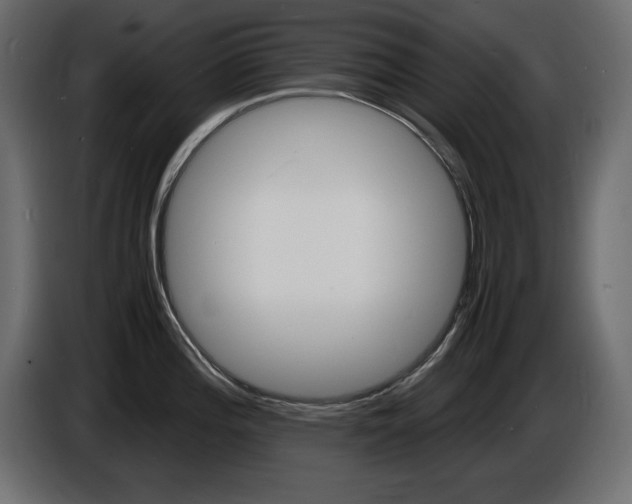 X0000086911196200704161002