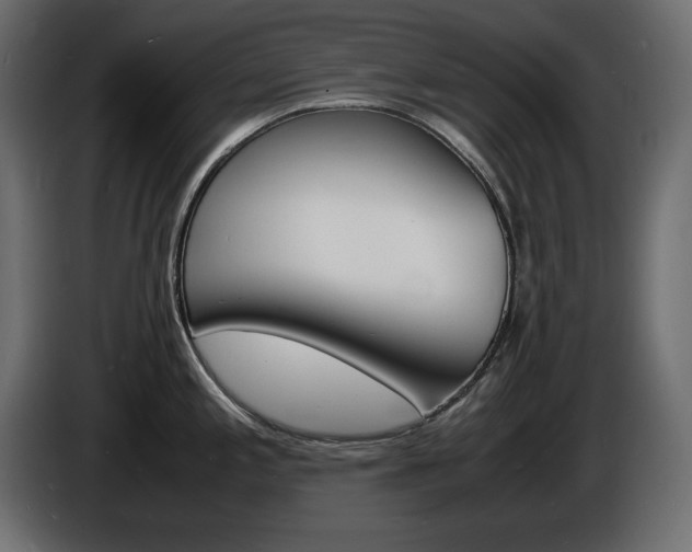 X0000086911197200704161002
