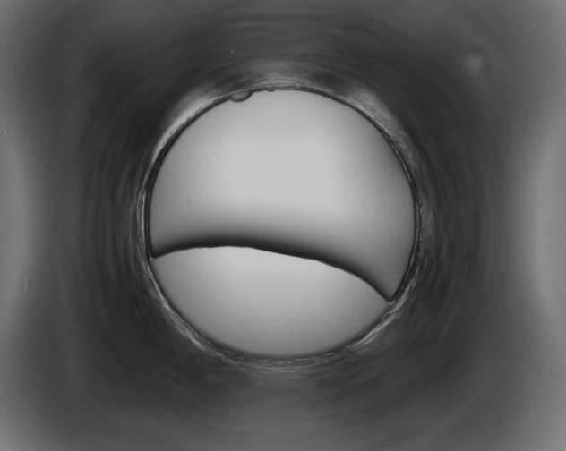 X0000086911198200704161002
