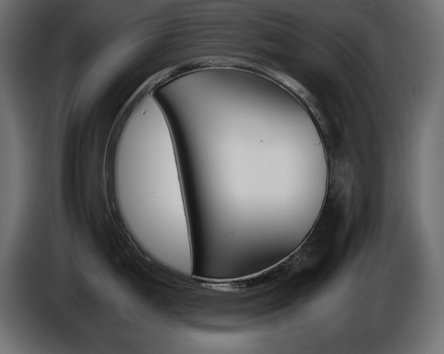 X0000086911199200704161002
