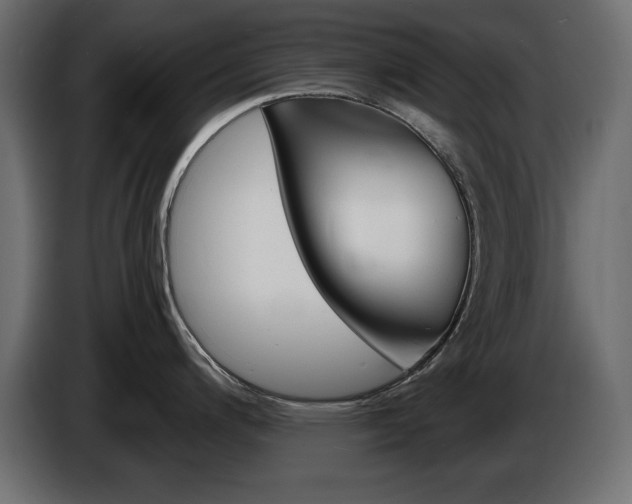 X0000086911200200704161002