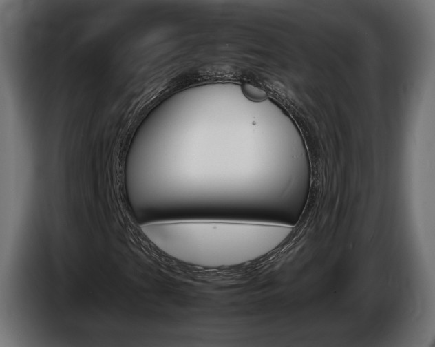 X0000086911201200704161001