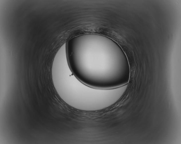 X0000086911202200704161001