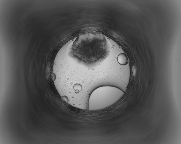 X0000086911203200704161001