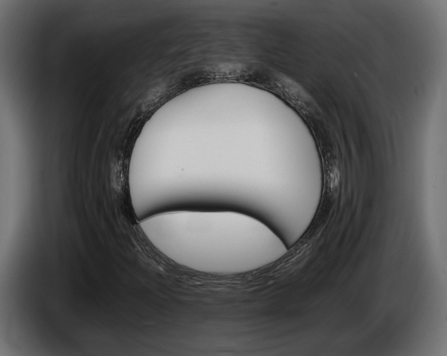 X0000086911204200704161001