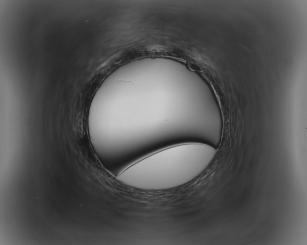 X0000086911205200704161001
