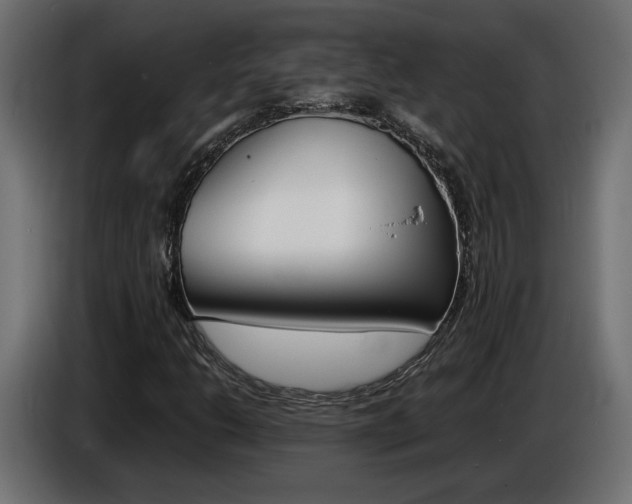 X0000086911206200704161001