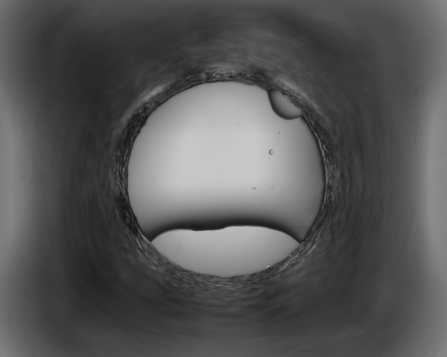 X0000086911207200704161001
