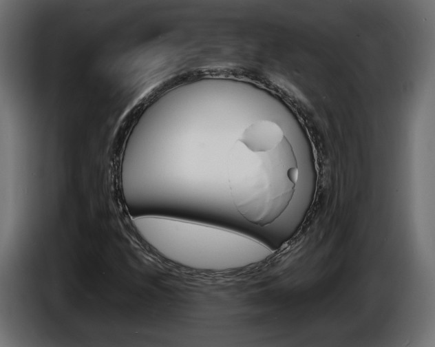 X0000086911208200704161001