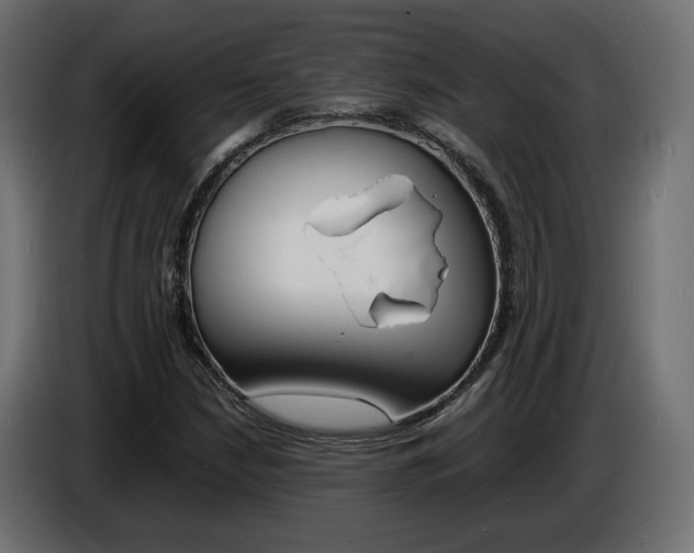 X0000086911210200704161001