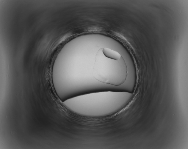 X0000086911211200704161001