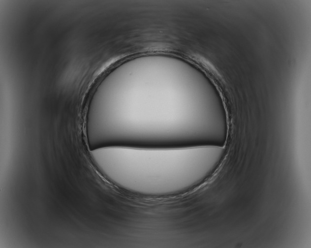 X0000086911212200704161001