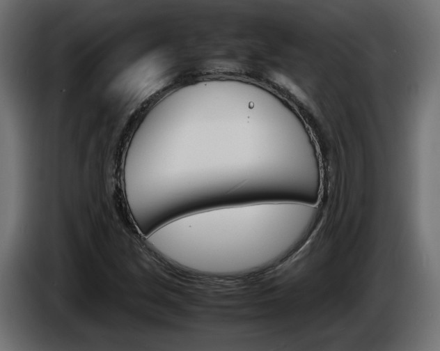 X0000086911213200704161001