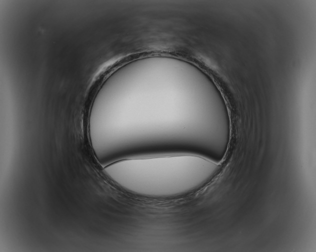 X0000086911214200704161001