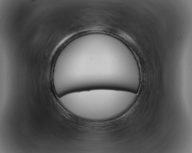 X0000086911216200704161001