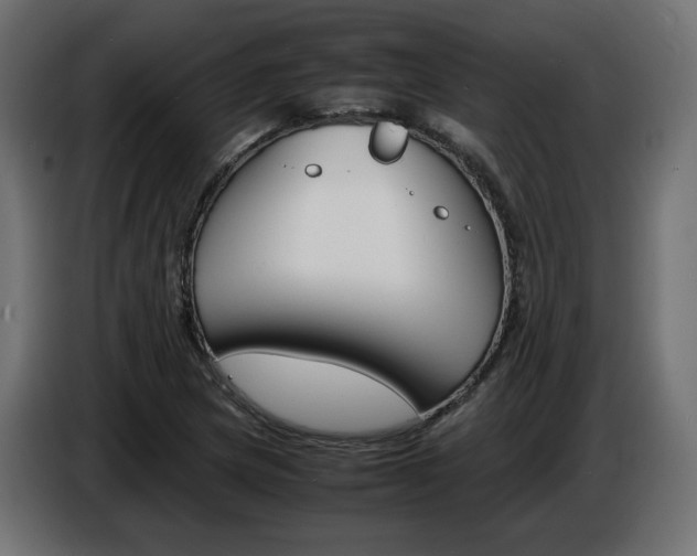 X0000086911217200704161002
