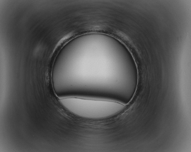 X0000086911218200704161002