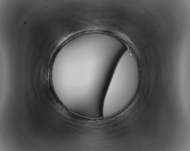 X0000086911220200704161002