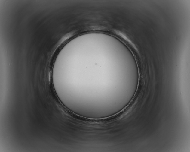 X0000086911221200704161002