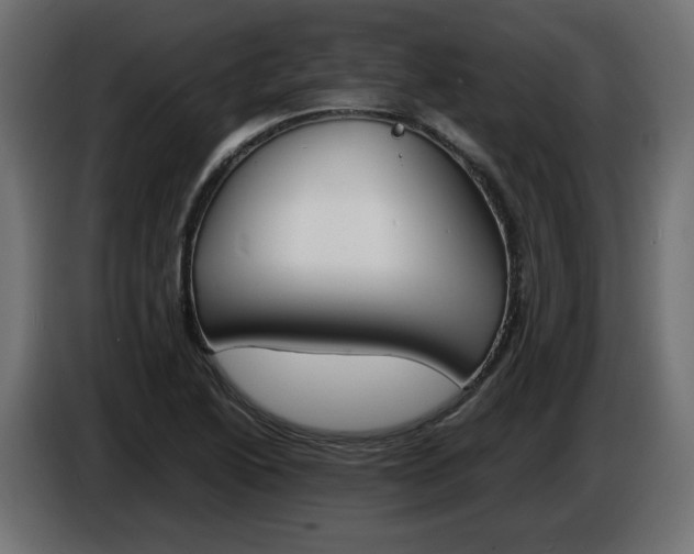 X0000086911222200704161002